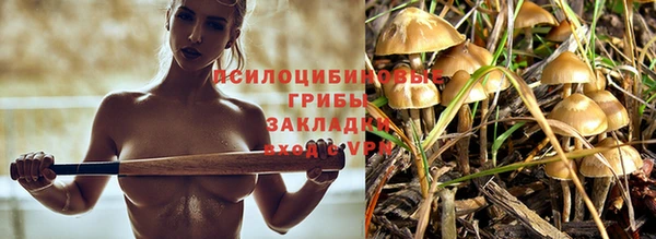 МДПВ Алзамай