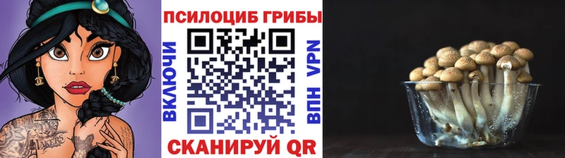 Галлюциногенные грибы прущие грибы Баймак